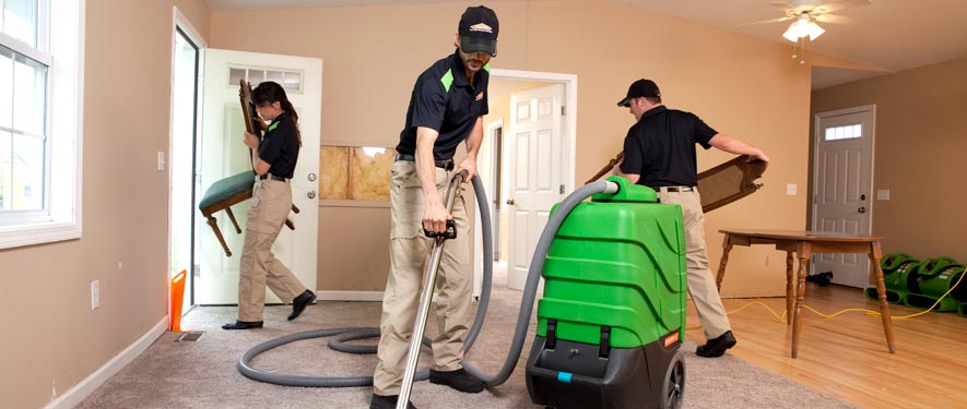 Issaquah, WA cleaning services